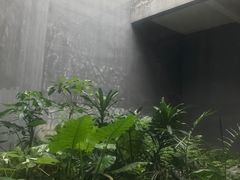 -大芬美术馆