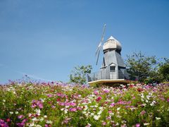 -海花岛旅游度假区