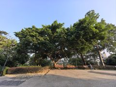 -东望洋炮台东望洋灯塔