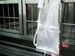 -嘉美宠物医院