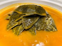 红煨甲鱼裙边-喜湘宴·精致湖南菜(和平西桥店)