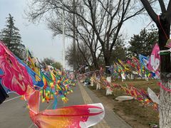 -汉长安城未央宫国家考古遗址公园