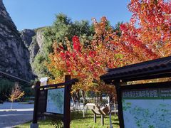 -龙庆峡风景区