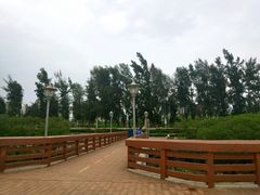 -宝安西湾红树林湿地公园