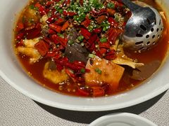 -望京辣宴·古法川菜(望京店)