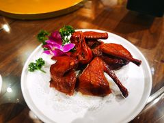 妙龄乳鸽-老广酒楼(樱花店)