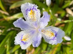 -上海滨江森林公园