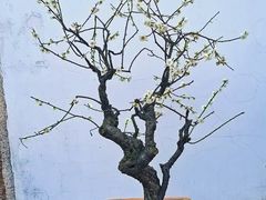 -鼓楼(西湖风景名胜区)