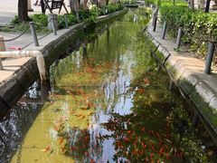 -河北村民俗体验园