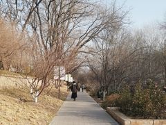 -元大都城垣遗址公园