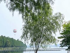 -东湖生态旅游风景区