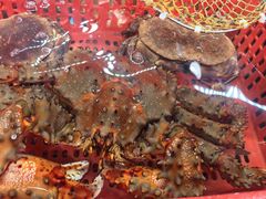 -79号渔船海鲜饭店(宝安店)