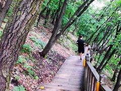 -帽儿山国家森林公园