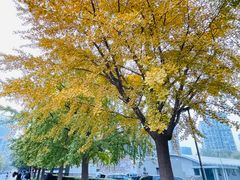 -蛙蛙叫干锅年代(簋街总店)