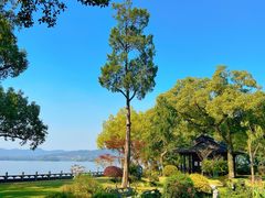 -杭州西湖柳莺里酒店·闻莺厅