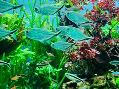 -太平洋海底世界