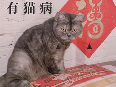 -元氏钵仔糕(北京路店)