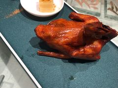 红烧乳鸽-大鸽饭(北京路店)