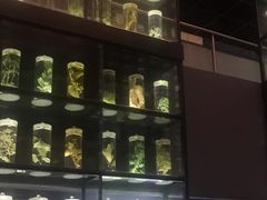 -广东中医药博物馆