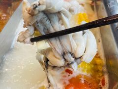 美蛙-渝蛙先生领鲜美蛙老火锅