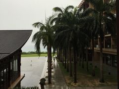 -三亚湾红树林度假世界(木棉酒店)
