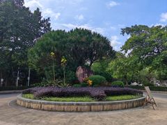 -滴水岩森林公园