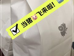 -WHEN PIGS FLY当猪飞