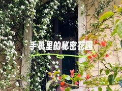 -府河摄影公园
