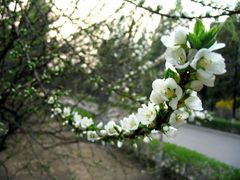 -辽宁大学(崇山校区)