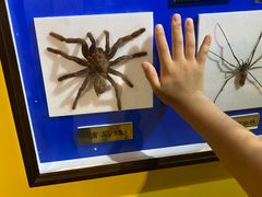 -上海昆虫博物馆