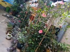 -阳光山水江湖菜馆(西山龙门店)