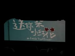-枫花园汽车电影院(朝阳公园店)