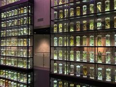-广东中医药博物馆
