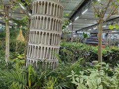 -南宫五洲植物乐园