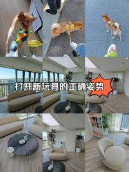 -HEYAN荷妍专业脱毛连锁机构