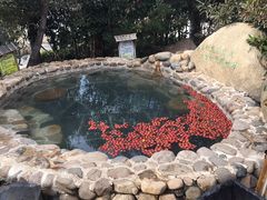 -观唐（国际）度假村温泉