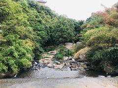 -洪崖丹井