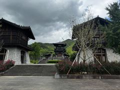 -大唐贡茶院