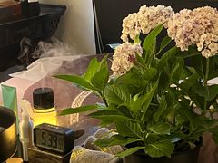 -Angkor SPA 柬埔寨古法按摩(环贸店)