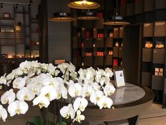 -王德传茶庄(上海新天地店)