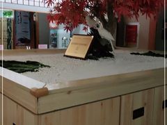 -汤泉良子(金源店)