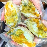 青岛必吃蒸海鲜🦀️开了7年｜螃蟹我太爱了‼️