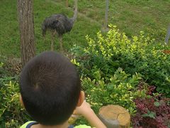 -石家庄市动物园