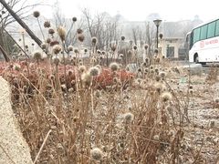 -大连金石滩绿发温泉假日酒店