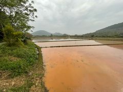 -风云岭森林公园