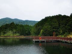 -海南热带雨林国家公园吊罗山景区