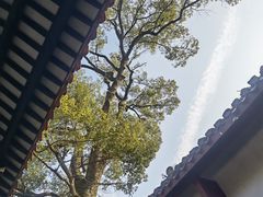 -岳麓书院