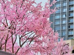 -首开·龙湖成都西宸天街