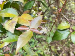 -清晖小苑•顺德地方菜(壹海城店)