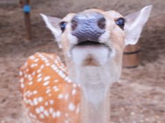 -南戴河国际娱乐中心